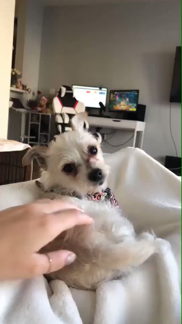 we are living in a simulation the background of this…