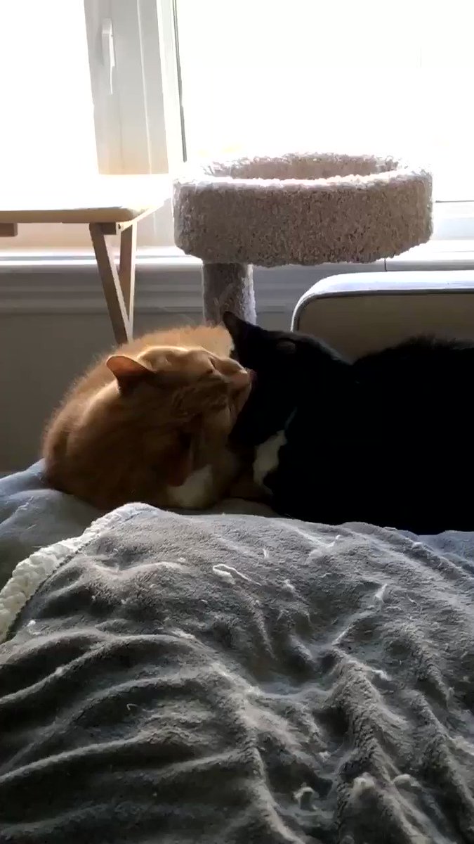 Keep liking my tweets and we’re gunna end up like…