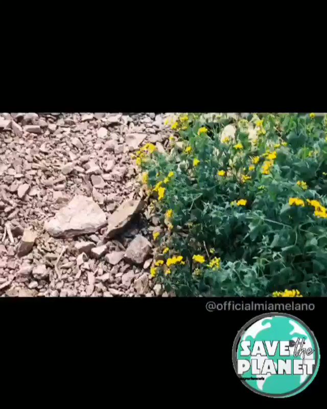 Follow my tiktok @missmiamelano