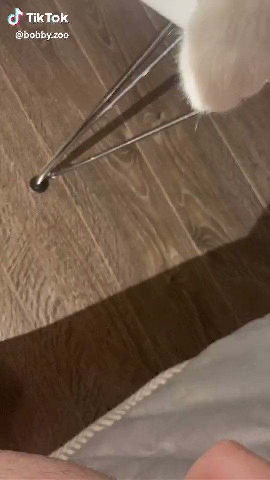 If you’re having a bad day please watch this!!!!!!!