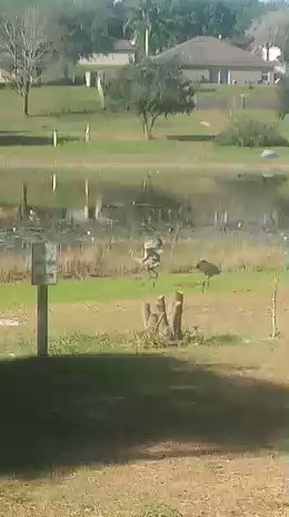 WHEN THE HUMANS LEAVE AND YOU GET THE HOUSE TO…