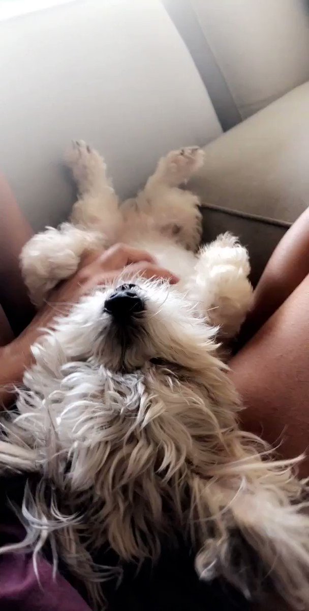 Thank you babe! 😌 flattered. And he’s great!