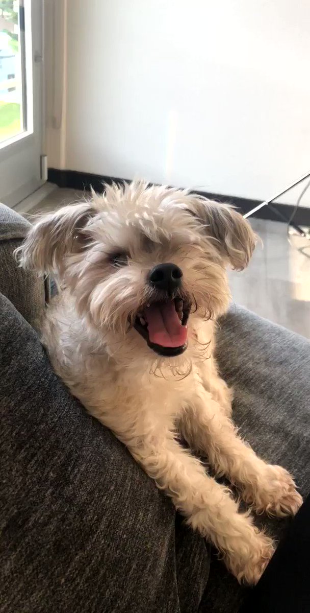 Today calls for a TOSH CAM 🎥