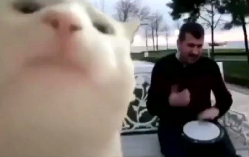 My last two brain cells at 2am when I should…