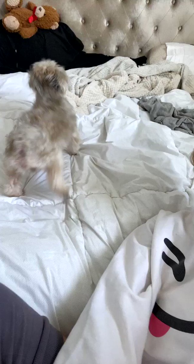 I hype my boy up in the morning