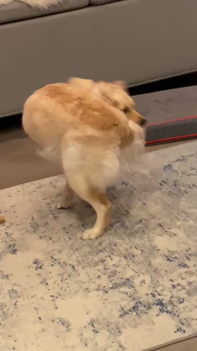 I think it’s broken ???