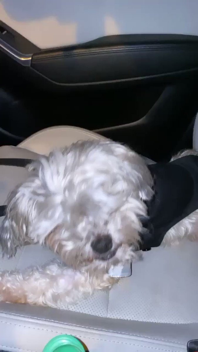 Tosh would be involved, in his Tux