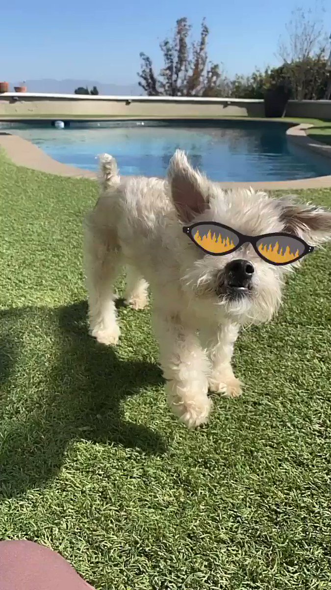 May your Monday be this cool!