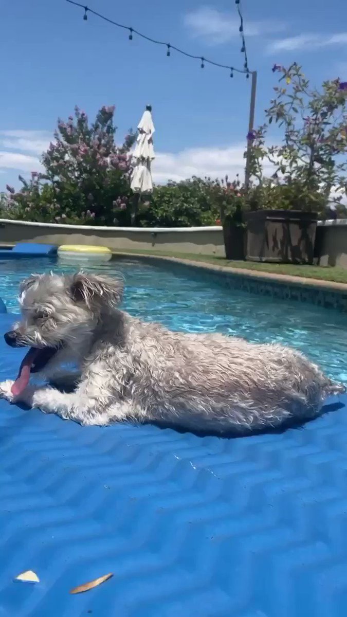 Hope your day was as smooth as Tosh’s