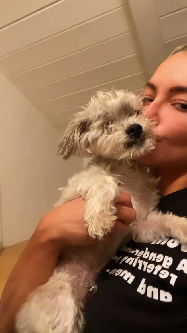 Allegedly this is a real dog. I still can’t believe…