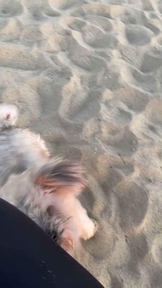 Ok I gotta go do some work: here’s Tosh doing…