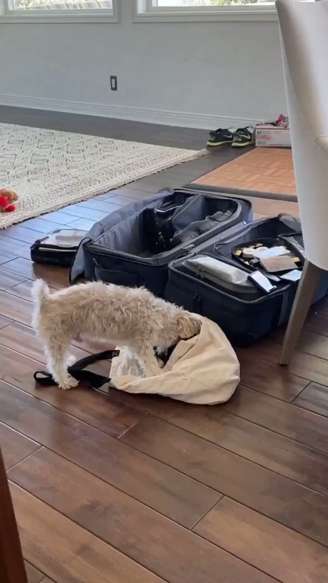 In his bag on labor day loll