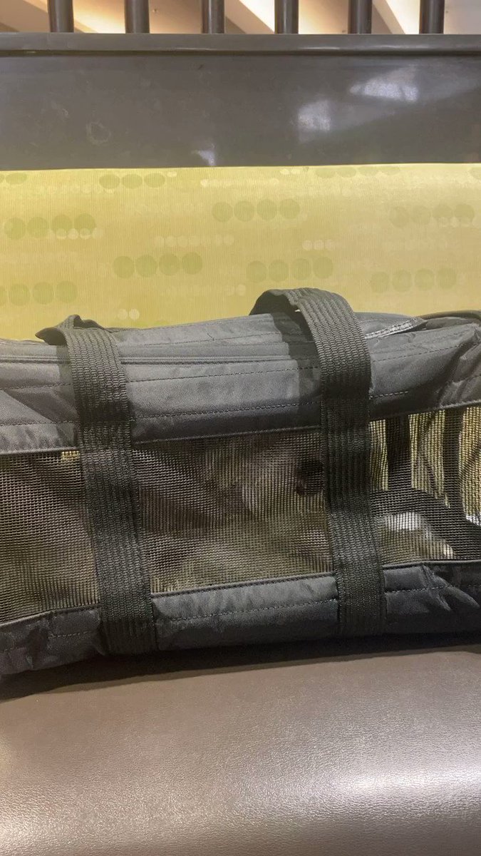 “We all have our baggage” My Baggage: