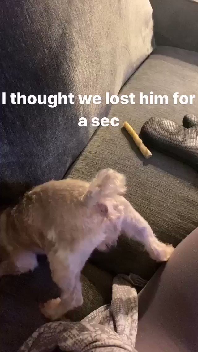 Tosh hasn’t gone couch diving in a while. Miss it