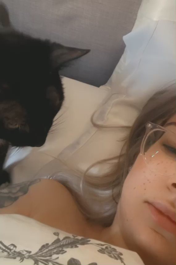 Excuse my morning face but we don’t deserve cats. This…