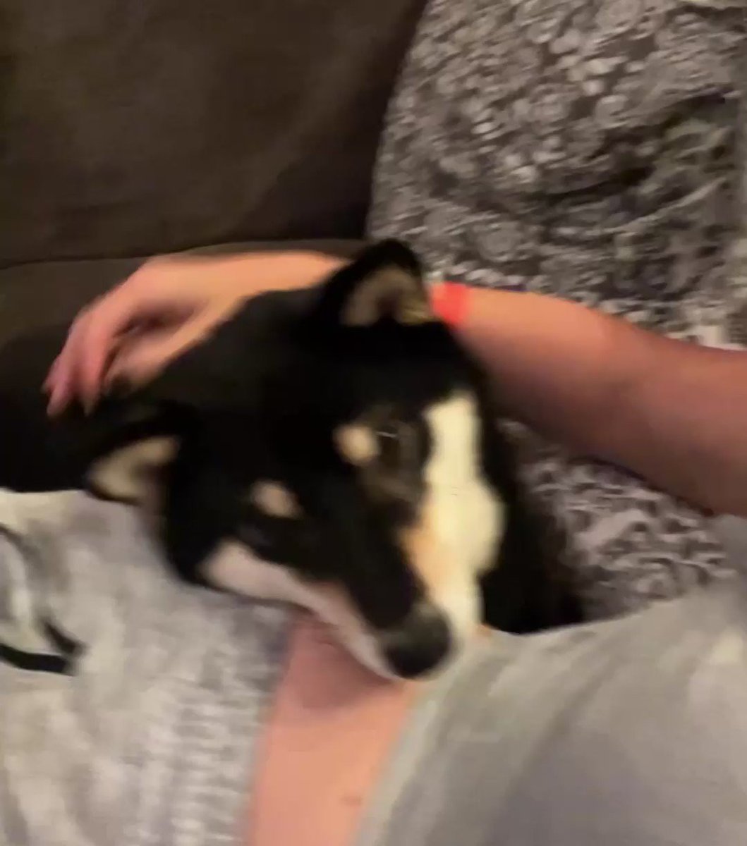 He missed me 🥹❤️ ALSO; STARTING STRANGER THINGS PART 2…