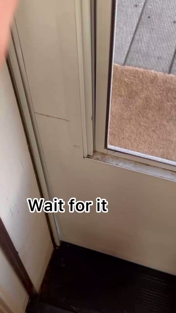 💪🍄🤳 🤺🤺🤺🤺 @daniellednicola @witchybreww @HendoArt @helloiamkate @KyrraMarie @BukkitBrown @TheFunian