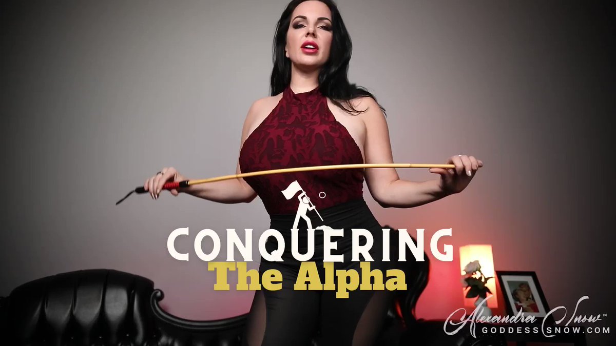 I get many beta, submissive guys begging to serve me….