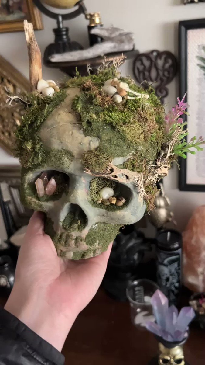 Made a moss skull!