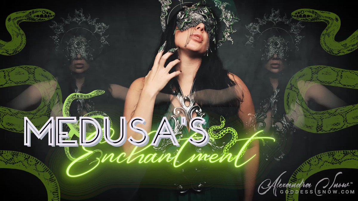 Happy Halloween, pets! If you haven’t caught my newest Halloween…