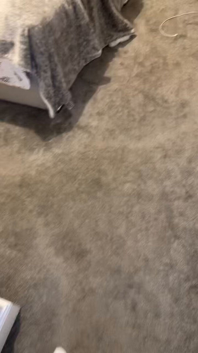 Bailey won’t be leaving my head