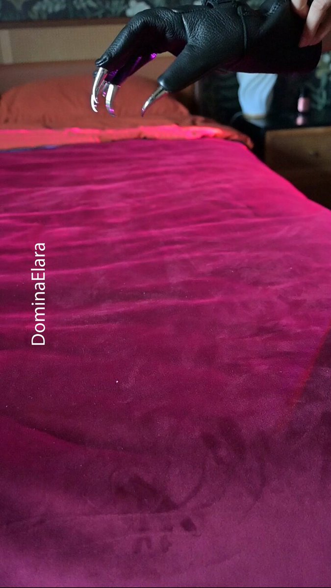 Behold, the tools of your ultimate surrender, lovingly displayed. Do…