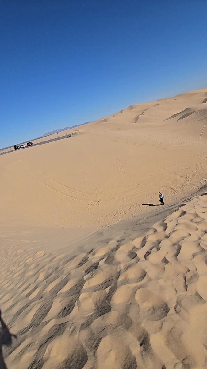 Look at how absolutely insane this looks