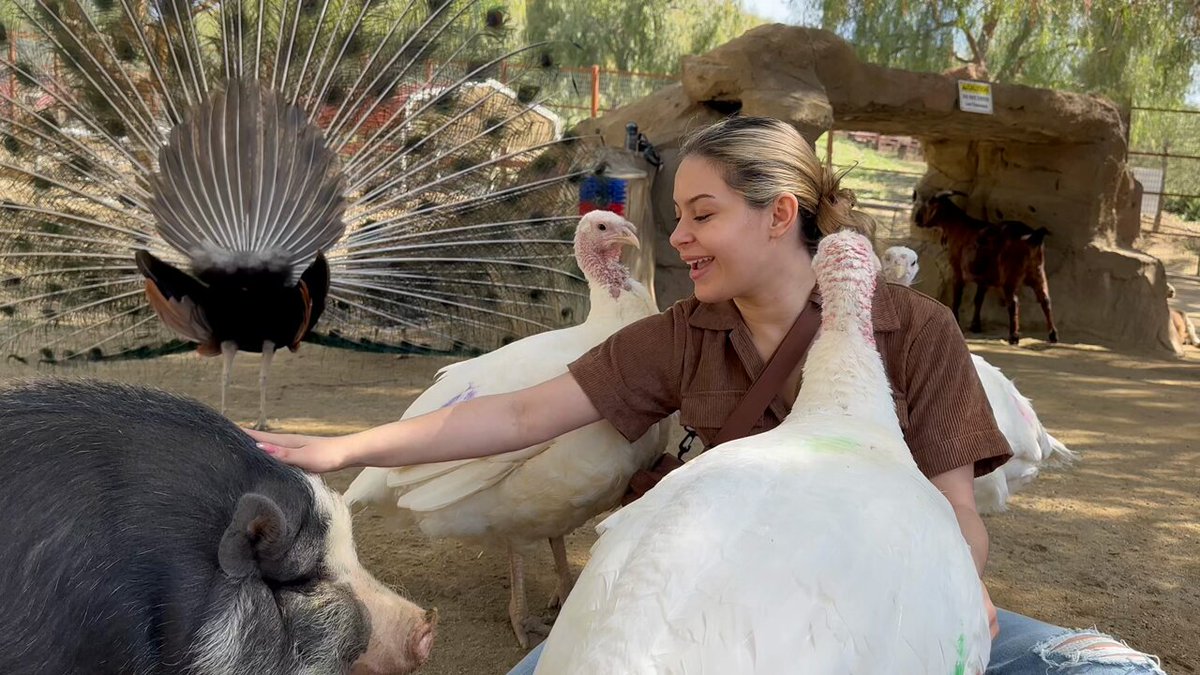 Out of all the new friends I made today, I…