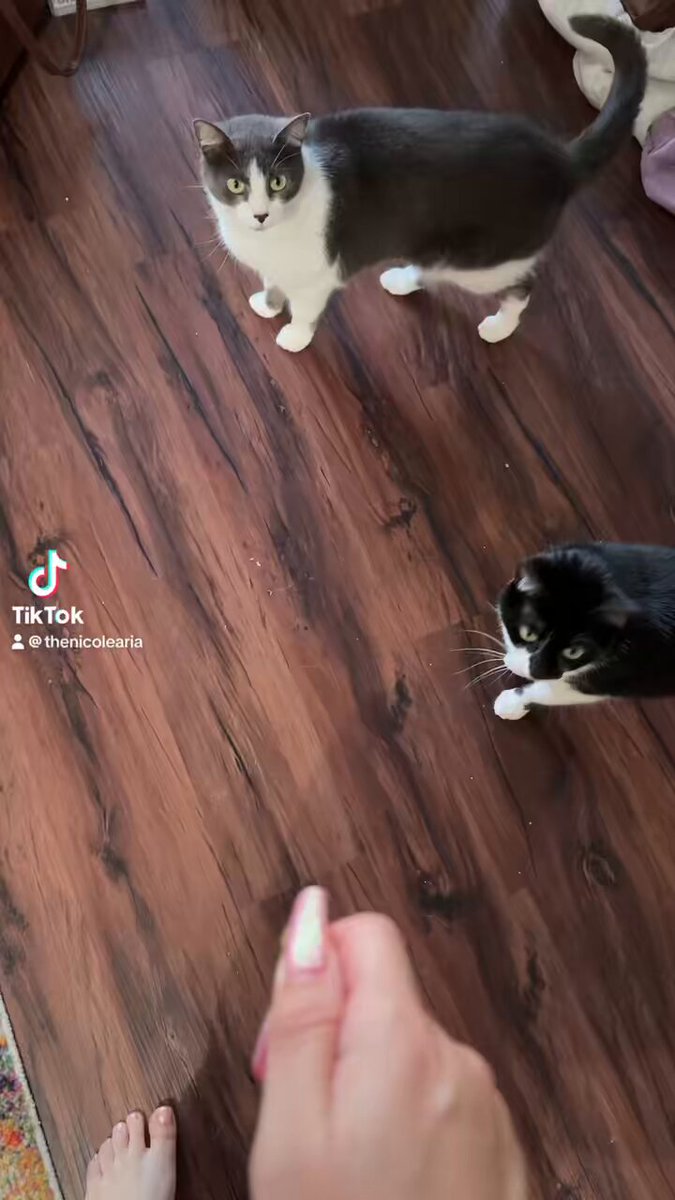 @BlackKnight10k 😻😻😻