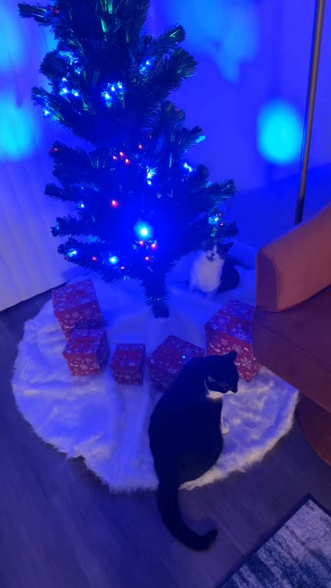 Anyone know how to stop my idiot kids from eating…