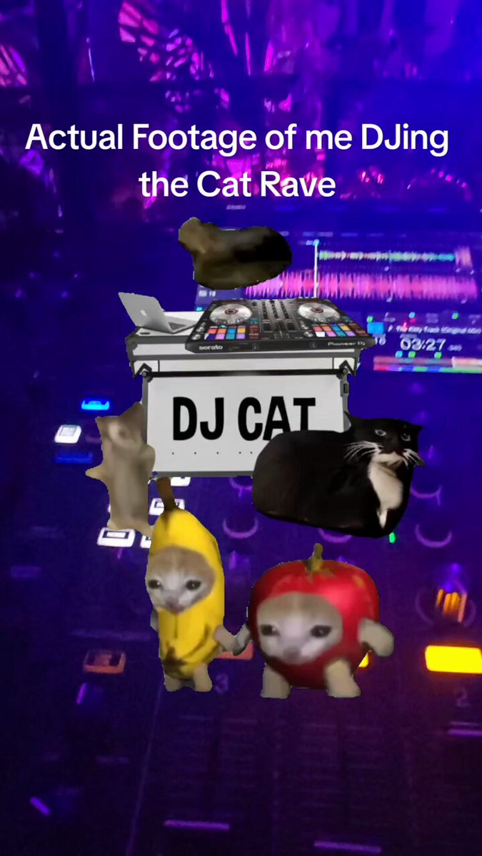 You had to be there to understand. Cat Rave fundraiser…
