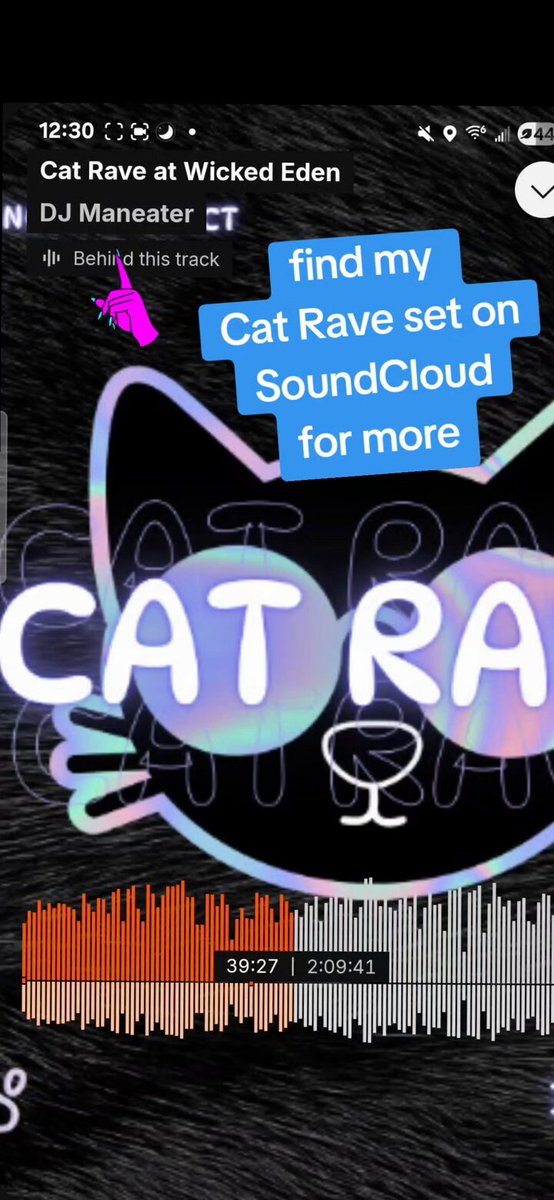 My set from the Project Cat Rave fundraiser is up…